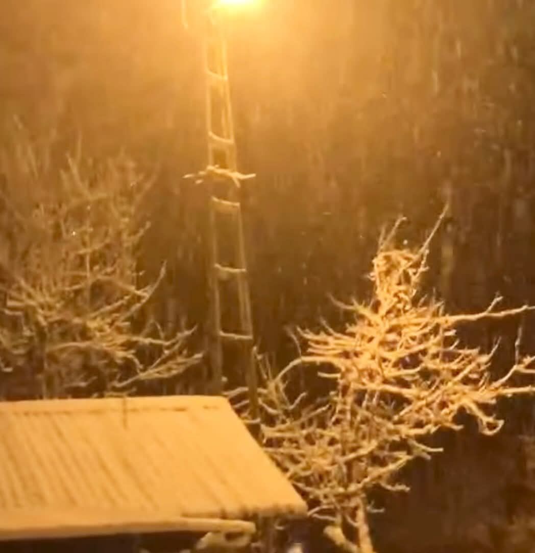 E1F19Cbd E0D1 45B6 9997 8A3Fac74Dc66