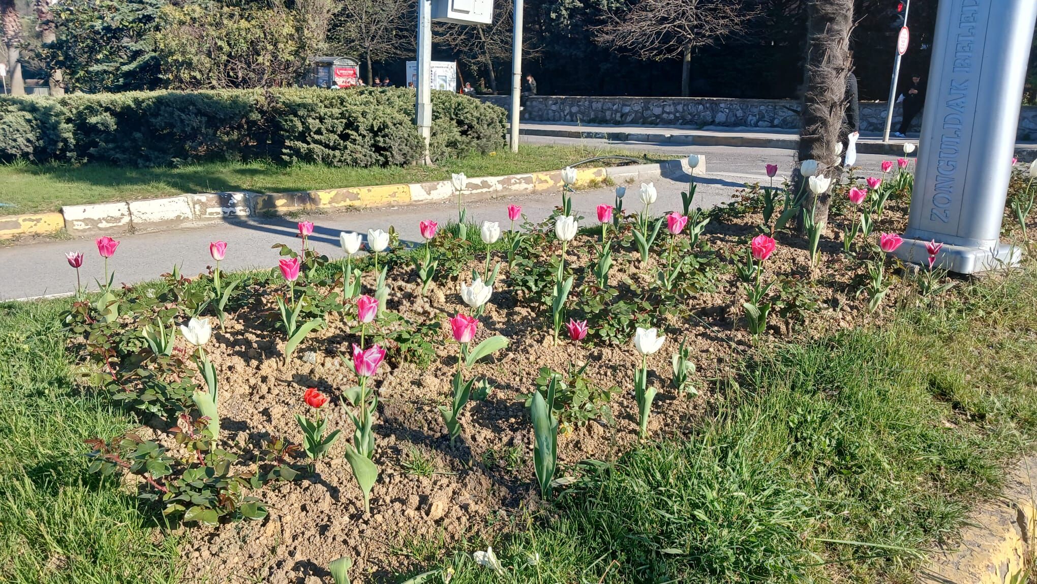 F8F9041D 8734 4B66 96E9 755C8D01948D