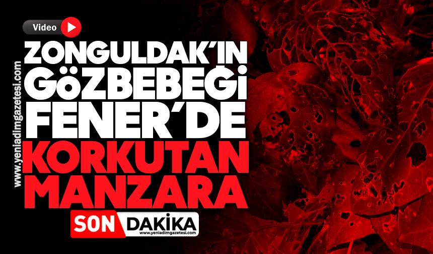 Zonguldak'ın gözbebeği Fener'de korkutan manzara!