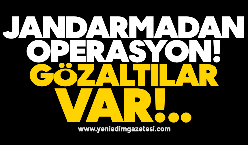 Jandarmadan operasyon: Gözaltılar var