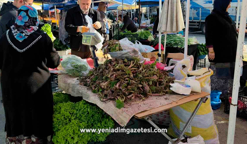 Şifa dağıtan kaldirik otu tezgahlardaki yerini aldı