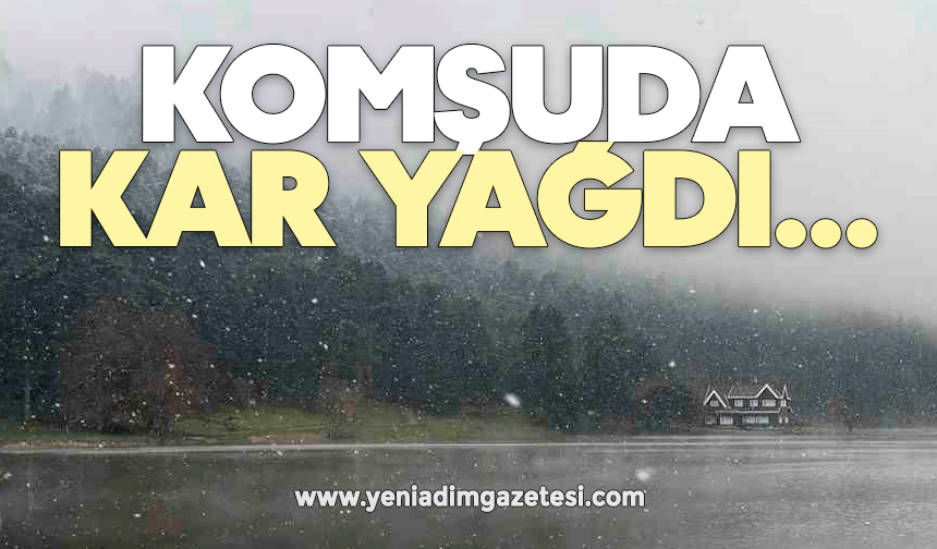 Gölcük'te kar yağışı ve sis etkili oldu