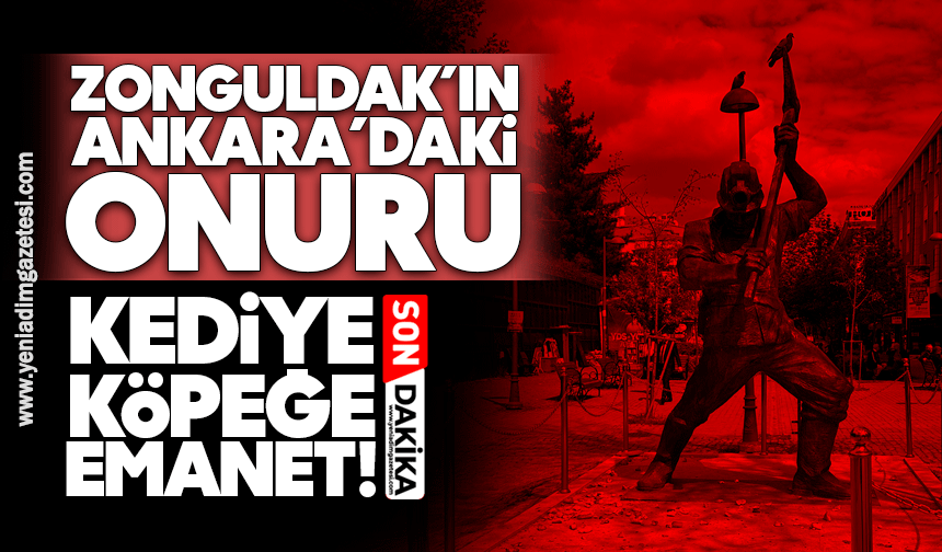 Zonguldak’ın Ankara’daki onuru kediye köpeğe emanet!