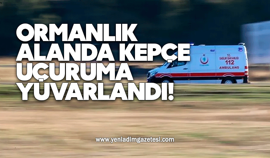 Ormanlık alanda kepçe uçuruma yuvarlandı! 1 kişi yaralandı