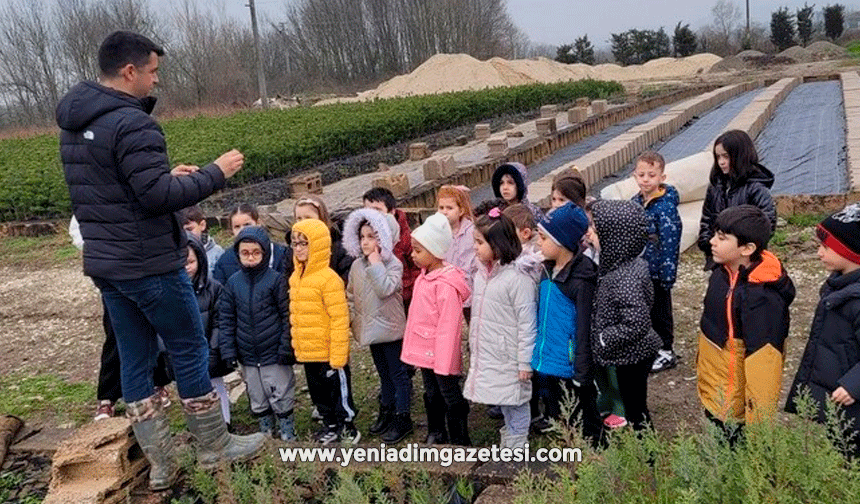 Minik eller büyük ormanlar oluşturmak için çalıştı