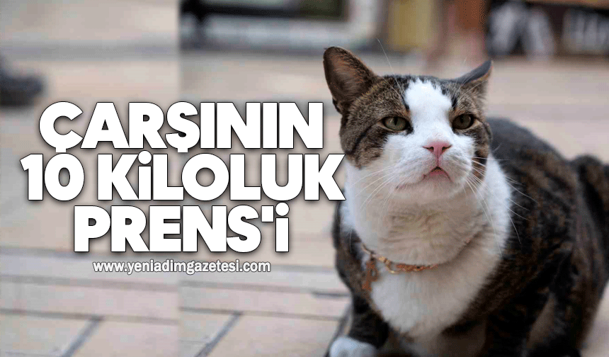 Çarşının 10 kiloluk Prens'i