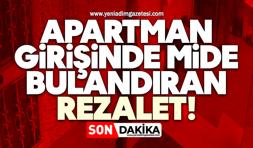 Apartman girişinde mide bulandıran rezalet!