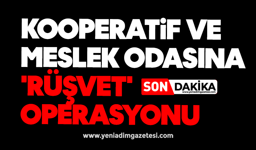 Kooperatif ve meslek odasına 'rüşvet' operasyonu