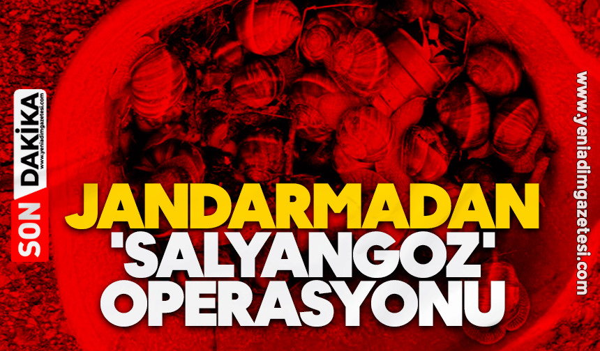 Jandarmadan 'salyangoz' operasyonu