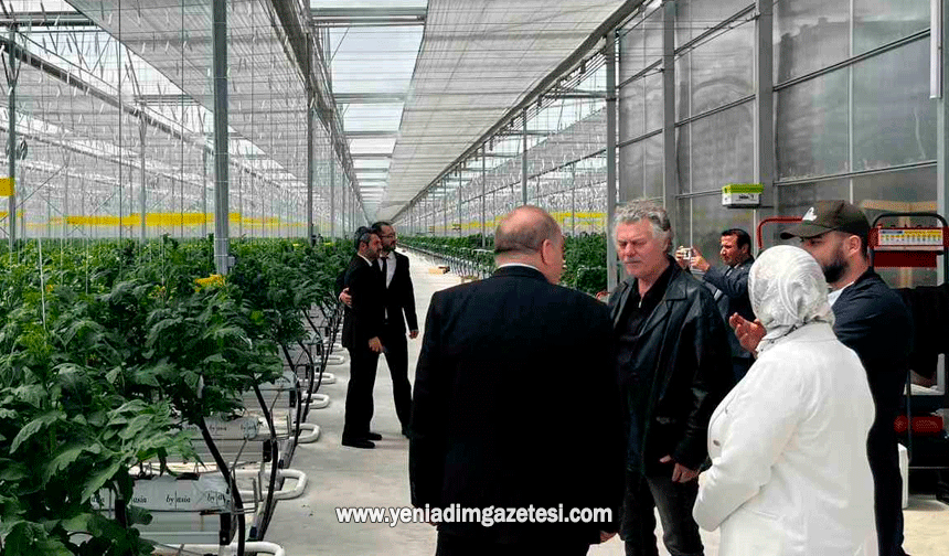 Düzce'den Seracılık İhtisas Organize Tarım Bölgesi'nde inceleme