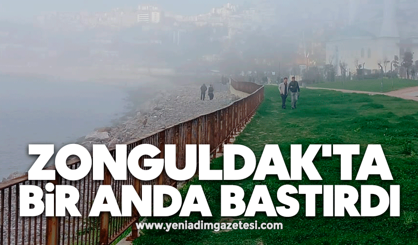 Zonguldak'ta bir anda bastırdı
