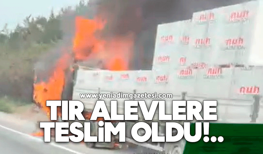Seyir halindeki tır alevlere teslim oldu