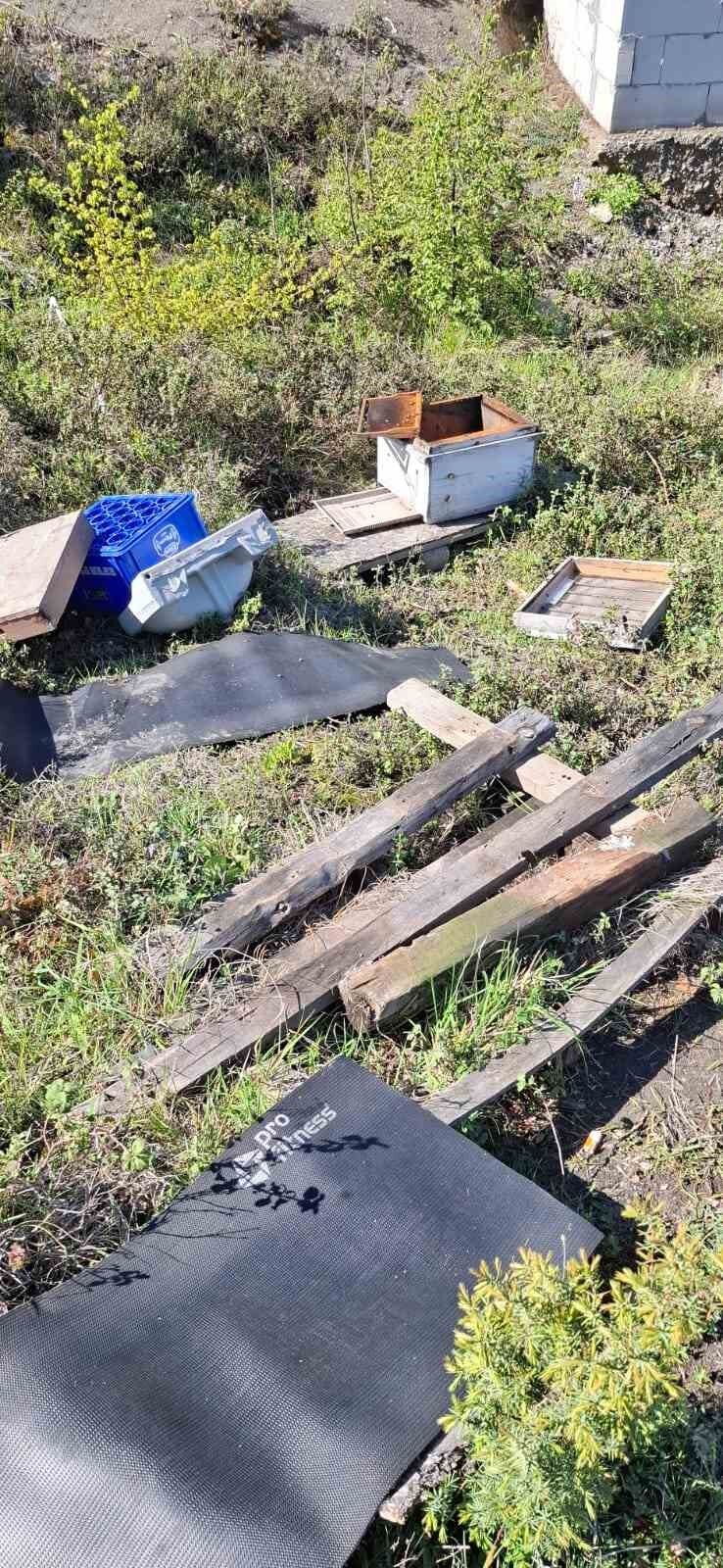 Kovanlarına ayının saldırdığını gören arıcı, 'Çilingir sofrası olmuş'