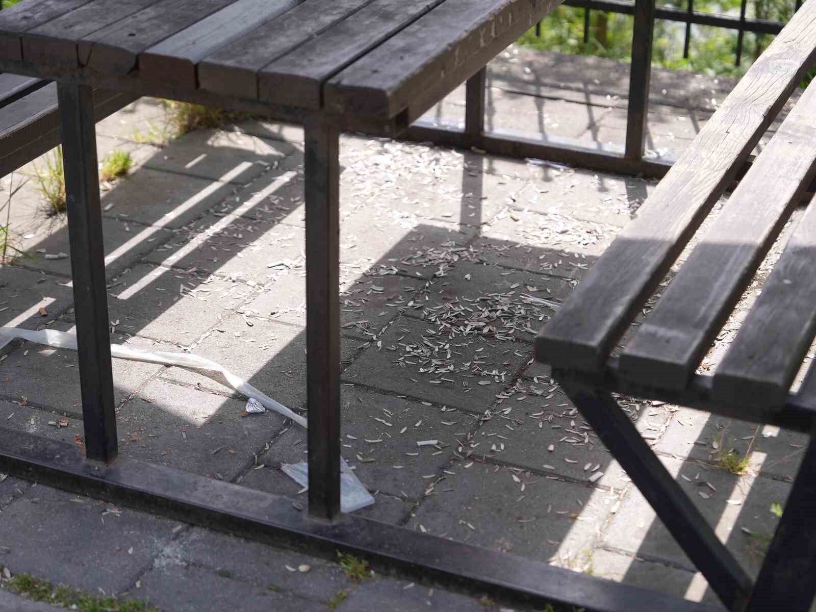 Melen Su Park'ta utandıran manzara