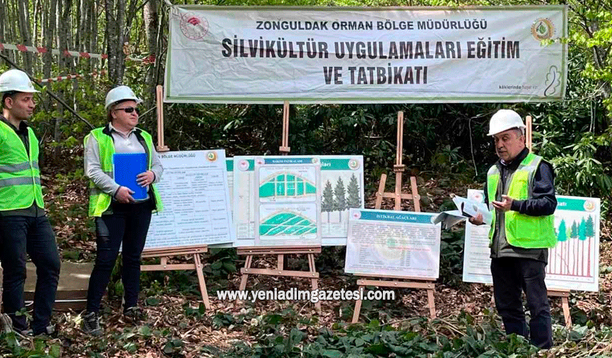 Silvikültür eğitim tatbikatı Yenice'de tamamlandı