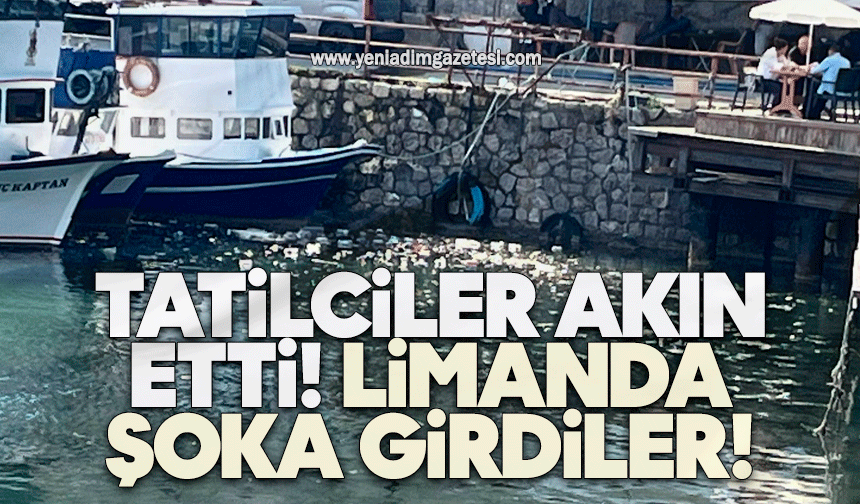Tatilciler akın etti, limanda şoka girdiler!