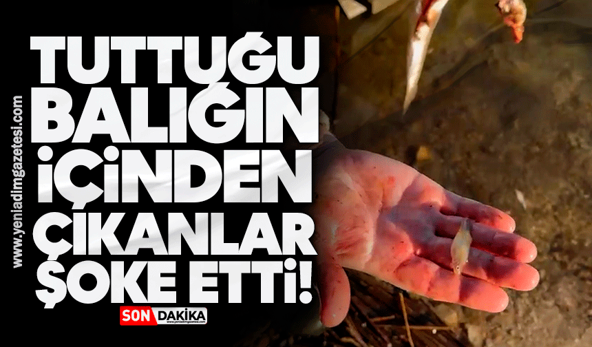 Tuttuğu balığın içinden çıkanlar şoke etti!