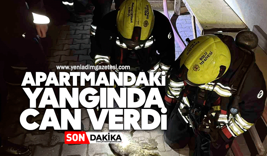Apartmandaki yangında can verdi