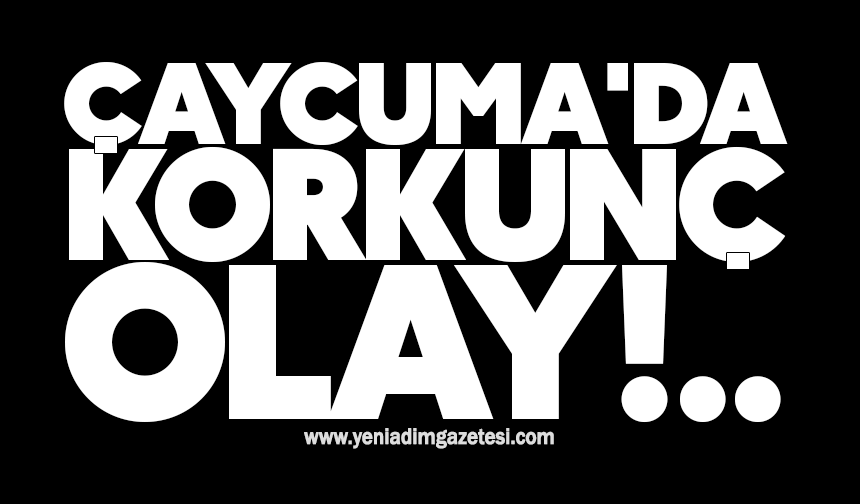 Çaycuma'da korkunç olay!