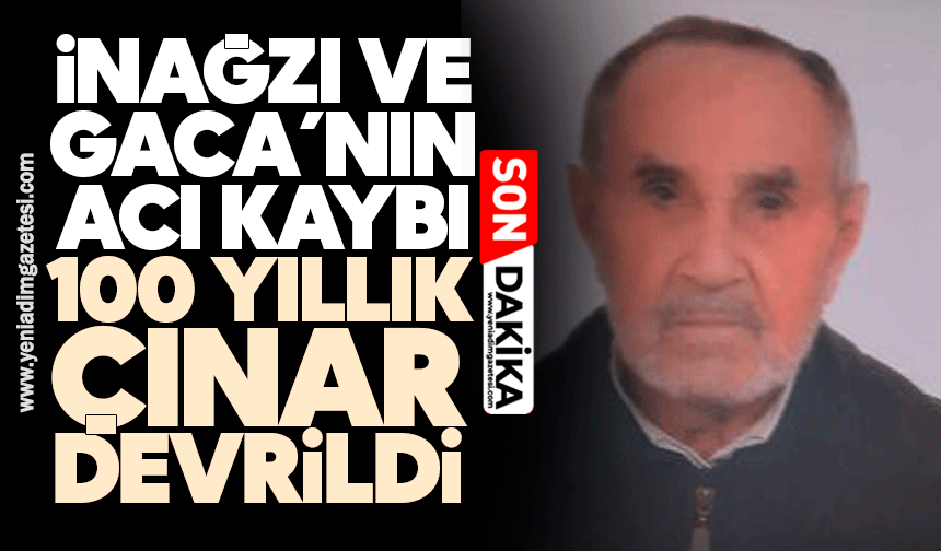 İnağzı ve Gaca’nın acı kaybı: 100 yıllık çınar devrildi