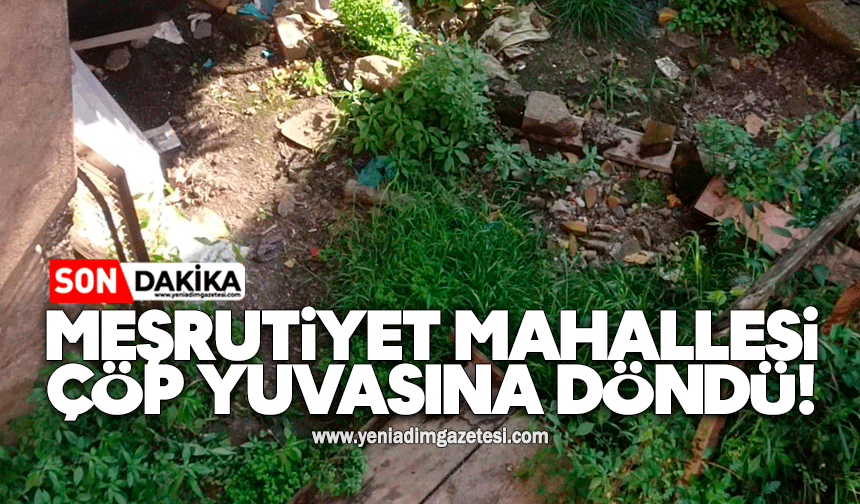 Meşrutiyet Mahallesi çöp yuvasına döndü!