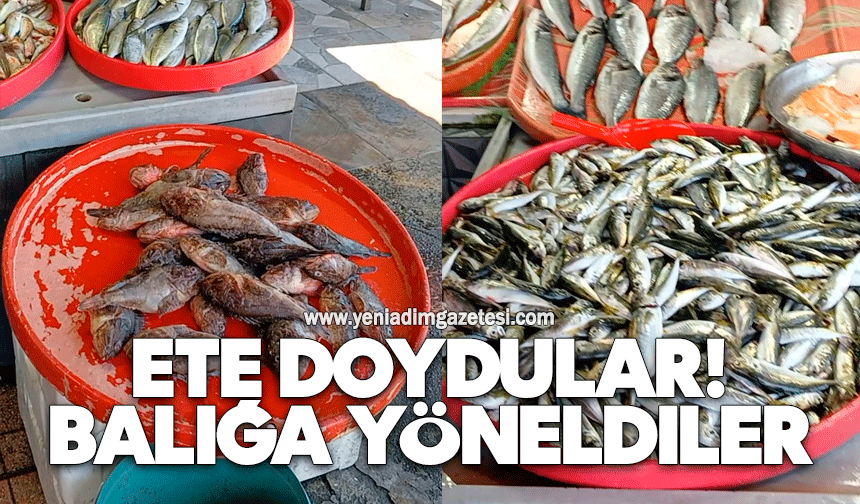 Ete doydular! Balığa yöneldiler