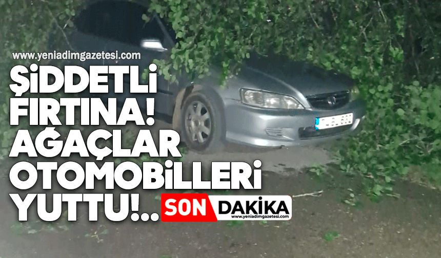 Şiddetli fırtına: Ağaçlar otomobilleri yuttu