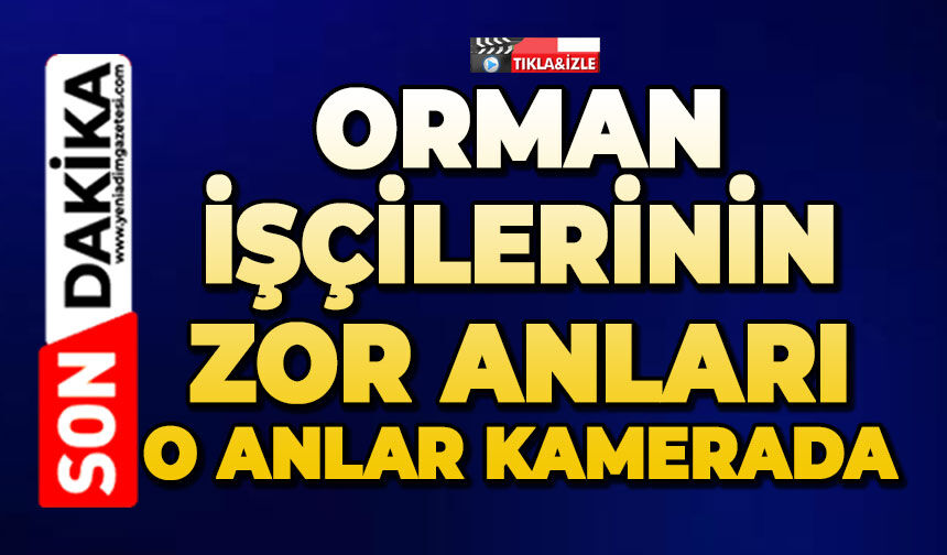 Orman işçilerinin yakınına yıldırım düştü, o anlar korkuya neden oldu
