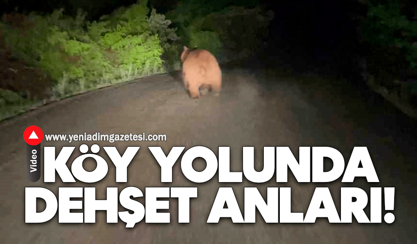 Köy yolunda dehşet anları!