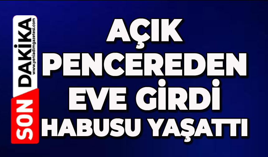 Açık pencereden girdi evdekilere kabus yaşattı