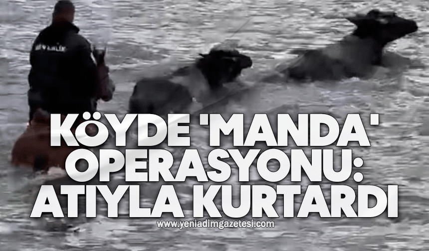 Köyde 'manda' operasyonu: Atıyla kurtardı
