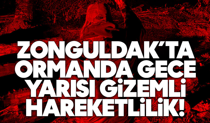Zonguldak’ta ormanda gece yarısı gizemli hareketlilik! Işığı gören orada toplandı