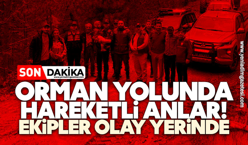 Orman yolunda hareketli anlar! Ekipler olay yerinde