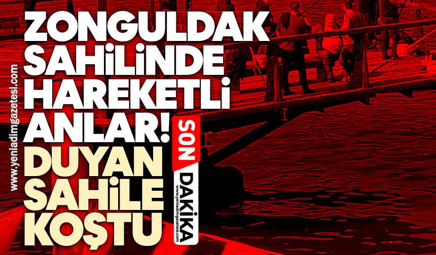 Zonguldak sahilinde hareketli anlar: Duyan sahile koştu
