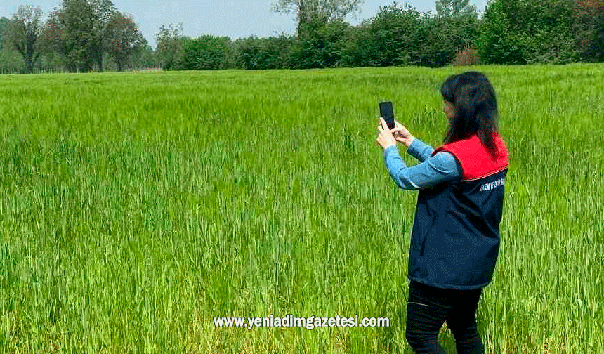 Düzce'de tarım arazileri uydu destekli denetleniyor