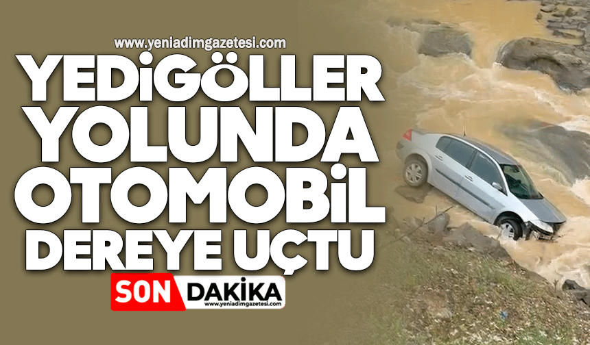 Yedigöller yolunda otomobil dereye uçtu