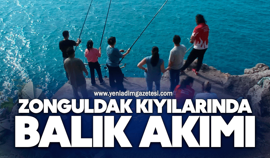Zonguldak kıyılarında balık akımı