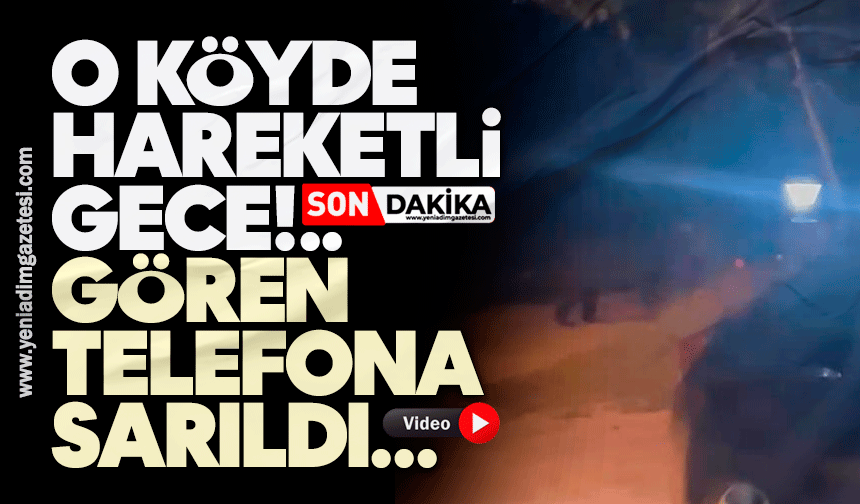 Köye inen ayı köylülere heyecan ve korku yaşattı
