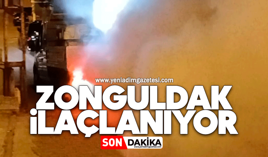 Zonguldak ilaçlanıyor