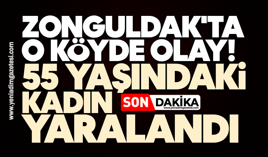 Zonguldak'ta o köyde olay! 55 yaşındaki kadın yaralandı