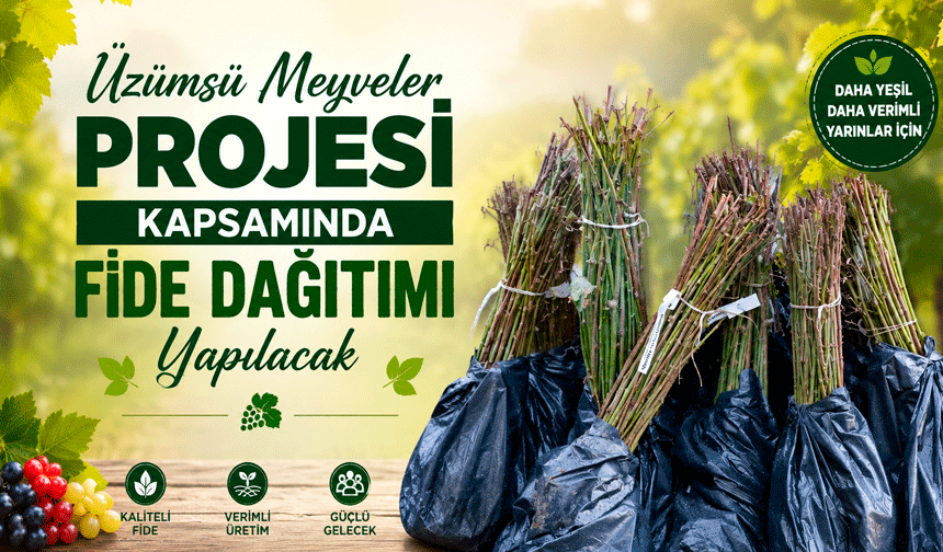 Üzümsü meyveler projesi kapsamında fide dağıtımı yapılacak