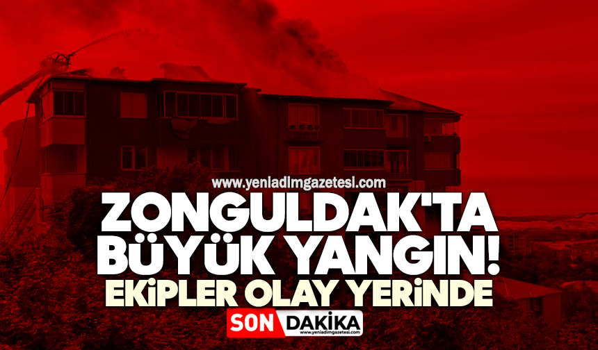 Zonguldak'ta büyük yangın! Ekipler olay yerinde