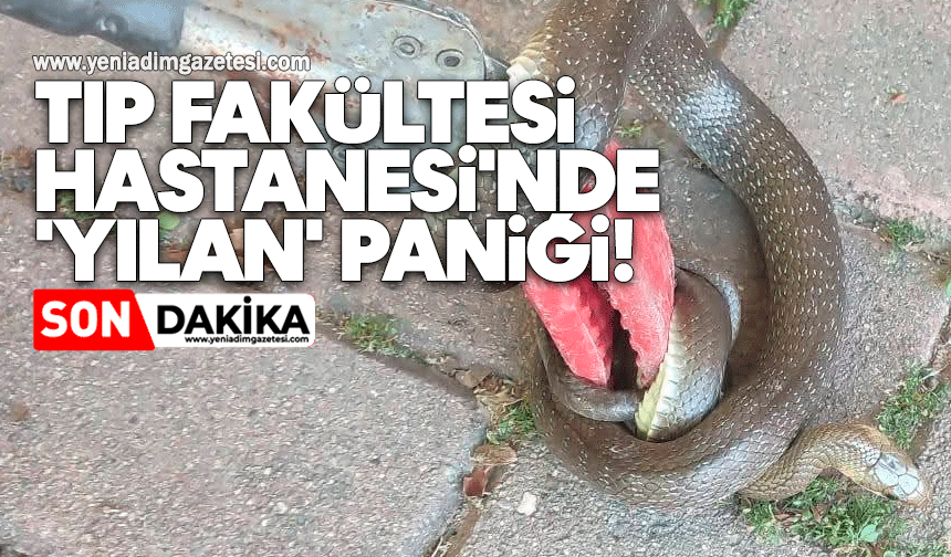 Tıp Fakültesi Hastanesi'nde 'yılan' paniği!
