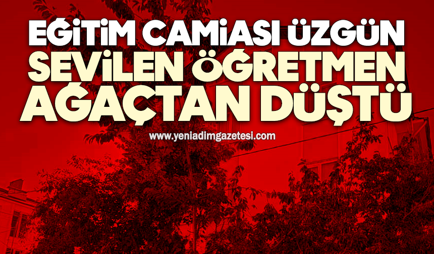 Eğitim camiası üzgün: Öğretmen ağaçtan düştü