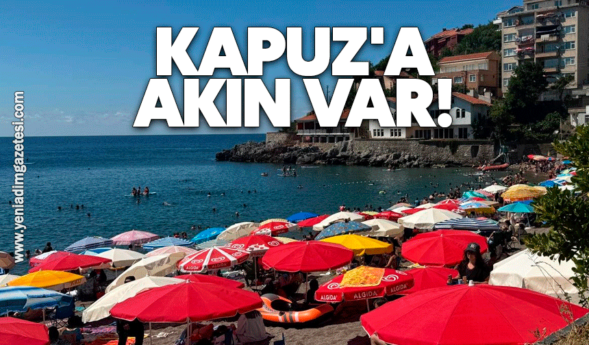 Kapuz'a akın var!