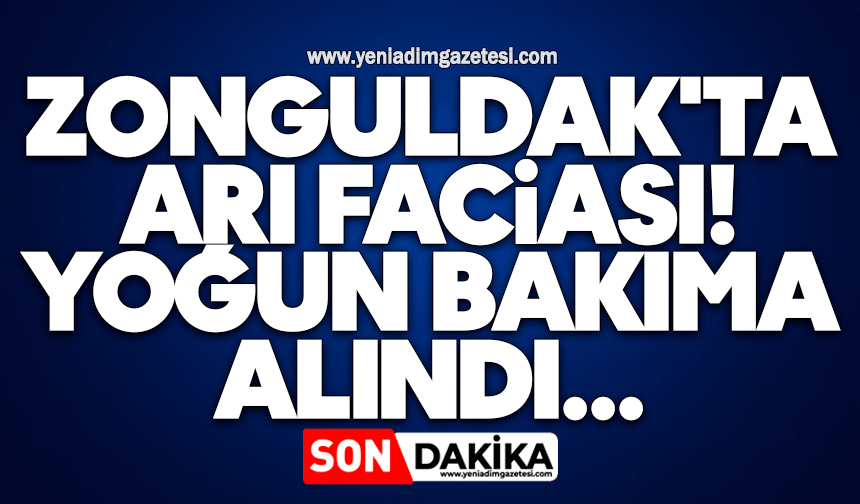 Zonguldak'ta arı faciası! Yoğun bakıma alındı