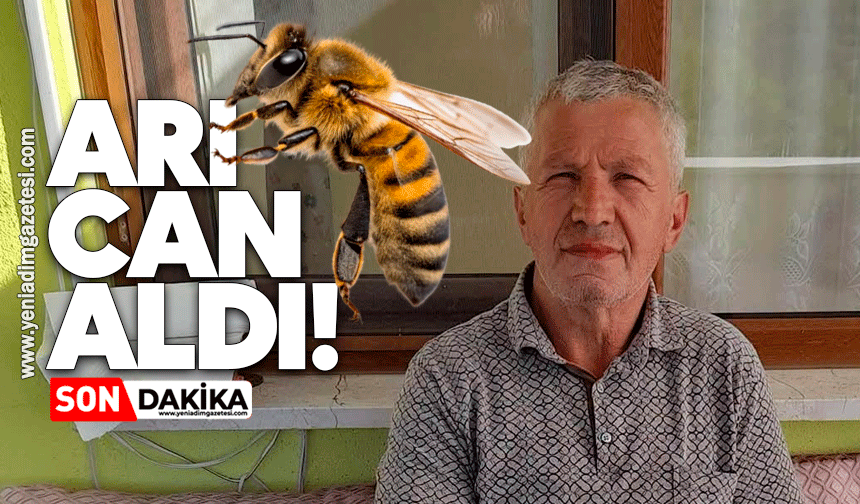 Arıların soktuğu yaşlı adam hayatını kaybetti