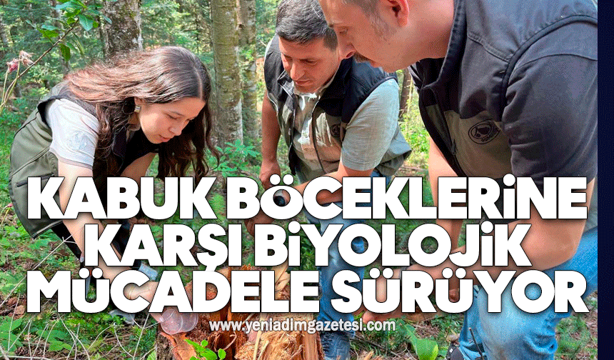 Kabuk Böceklerine Karşı Biyolojik Mücadele Aralıksız Sürüyor