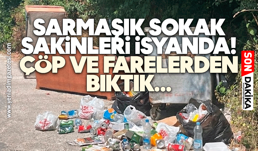 Sarmaşık Sokak sakinleri isyanda: Çöp ve farelerden bıktık