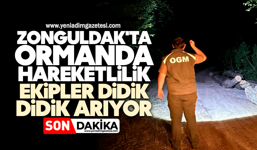 Zonguldak'ta ormanda hareketlilik: Ekipler dedik dedik arıyor